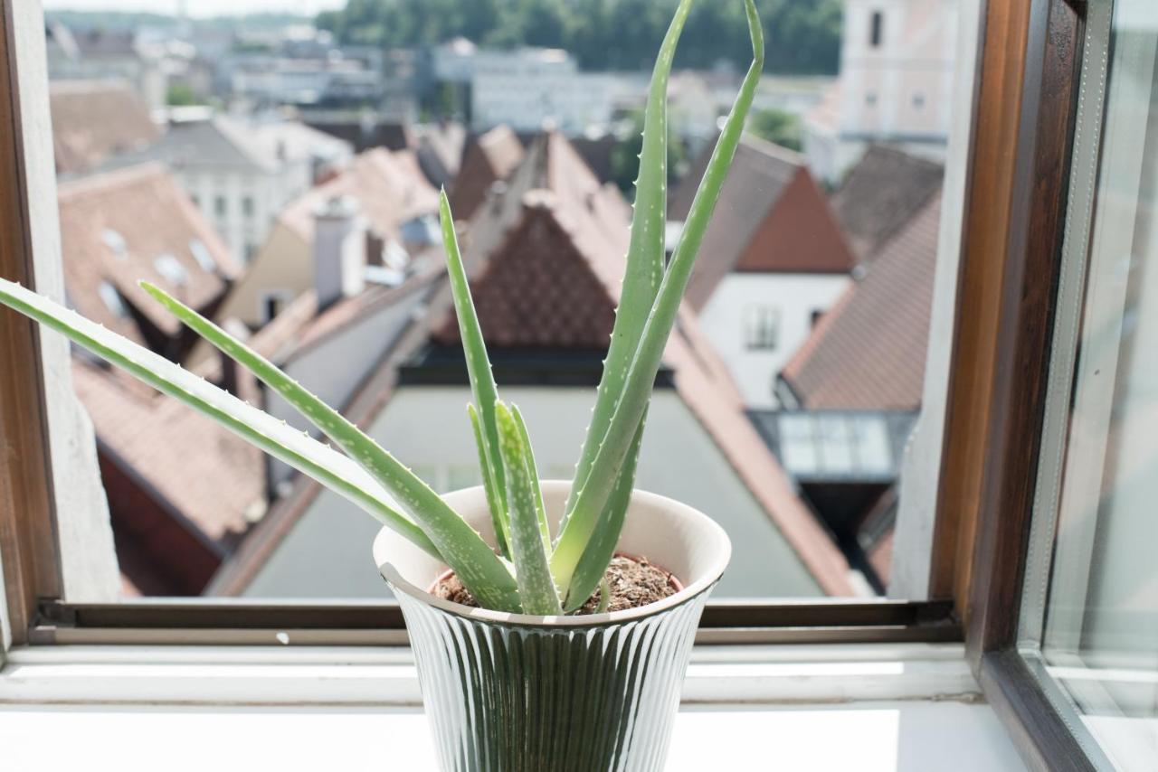 Stadthotel Styria Steyr Exteriér fotografie