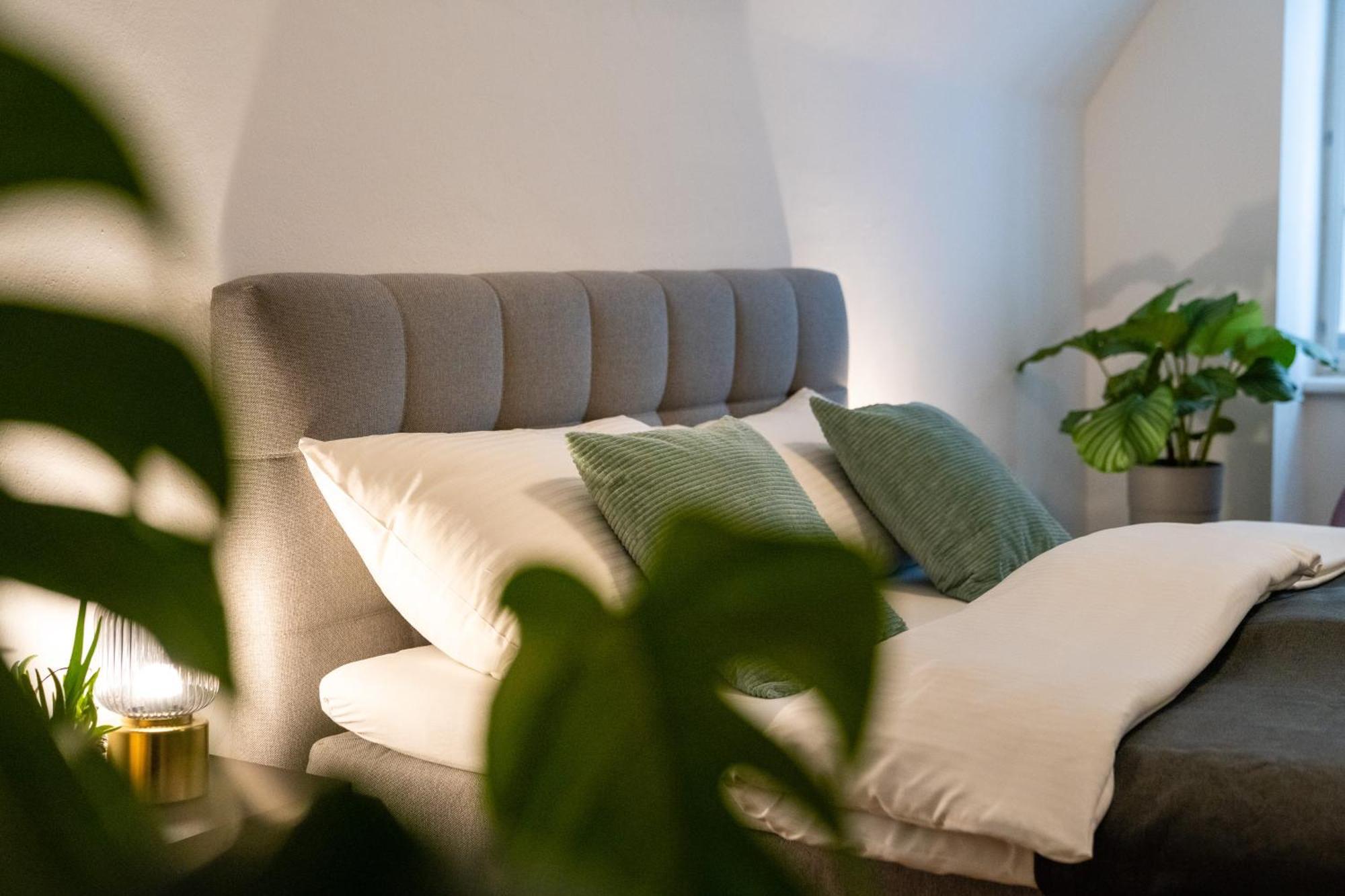 Stadthotel Styria Steyr Exteriér fotografie